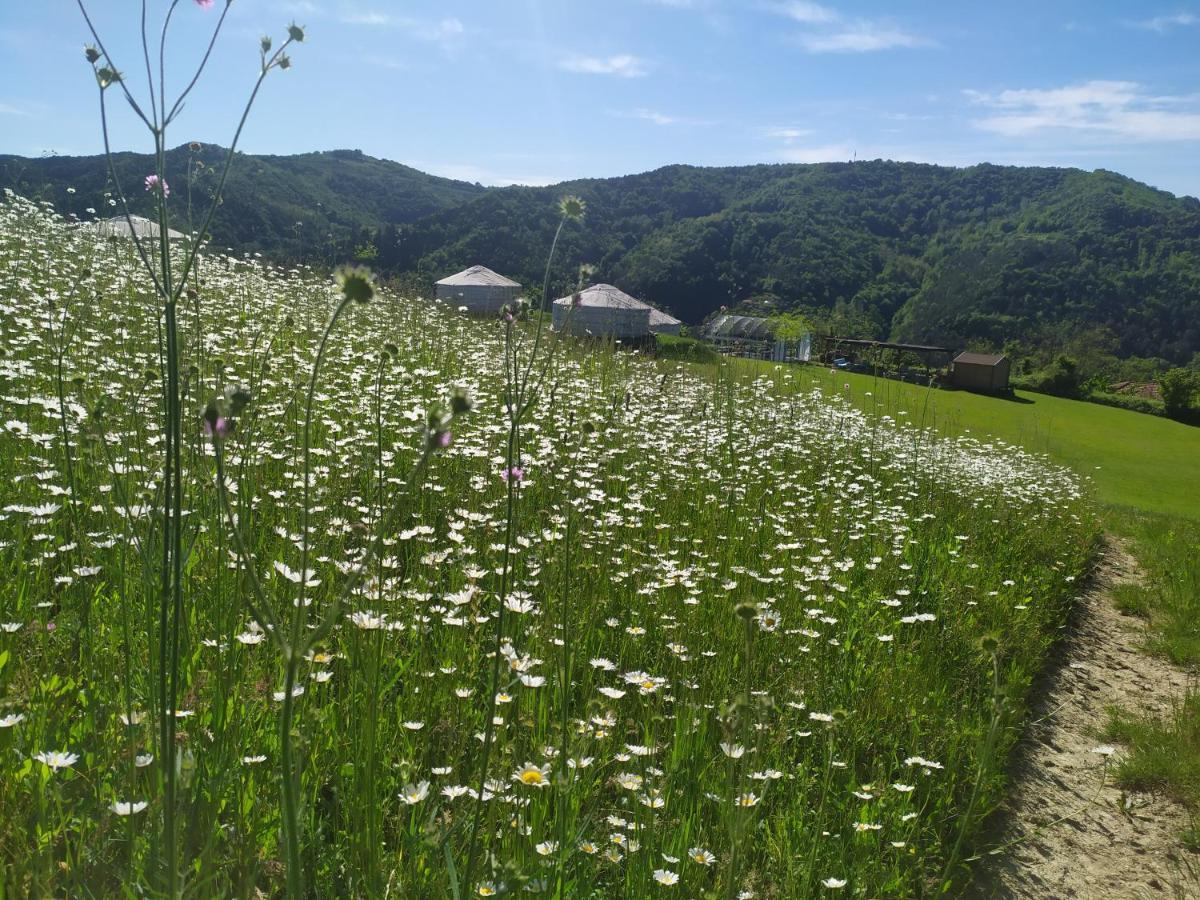Yurte In Langa 호텔 보시아 외부 사진